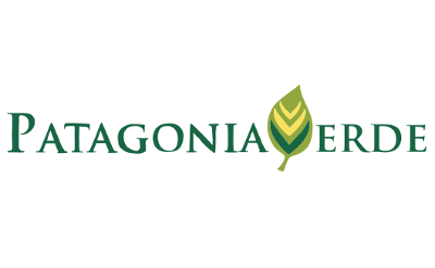 Logo Patagonia Verde